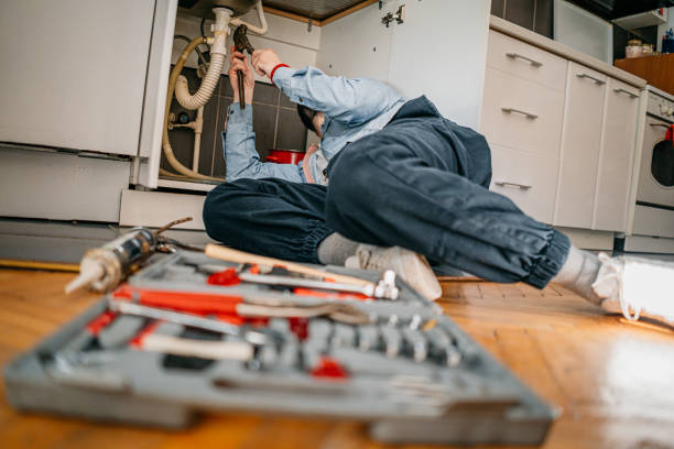 Best Same-Day Plumbing Service  in Colon, MI
