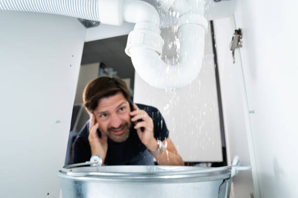 Best Shower Repair Services  in Colon, MI