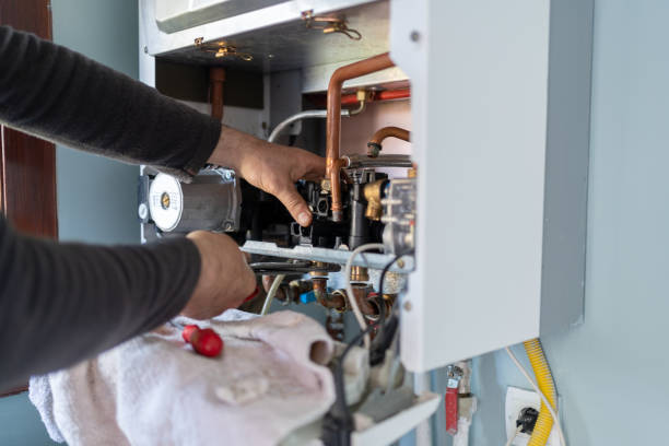 Best Local Plumber Services  in Colon, MI