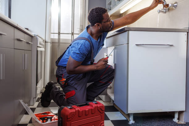 Best Best Plumbers Near Me  in Colon, MI
