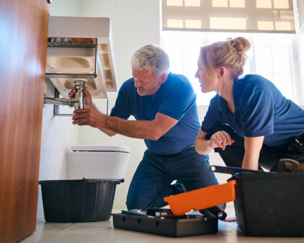 Best Affordable Plumbing Services  in Colon, MI