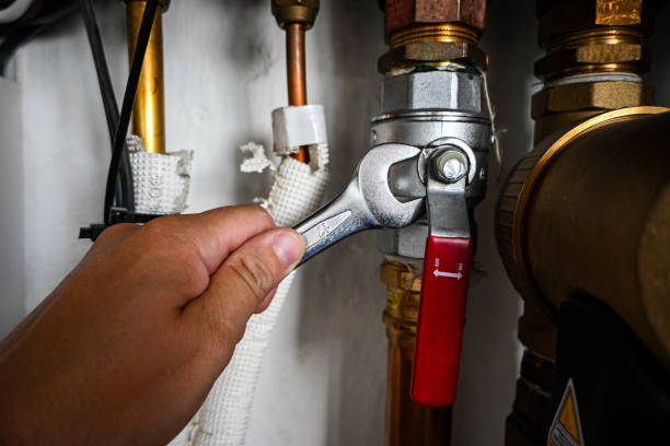 Best Leak Detection Services  in Colon, MI